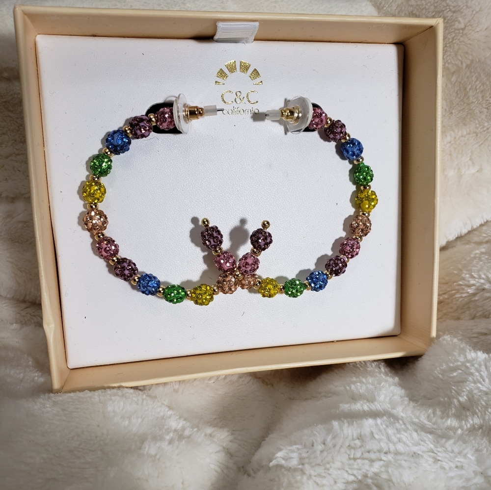 Pastel rainbow hoop earrings